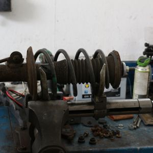 IMG 6983 IMG 6983